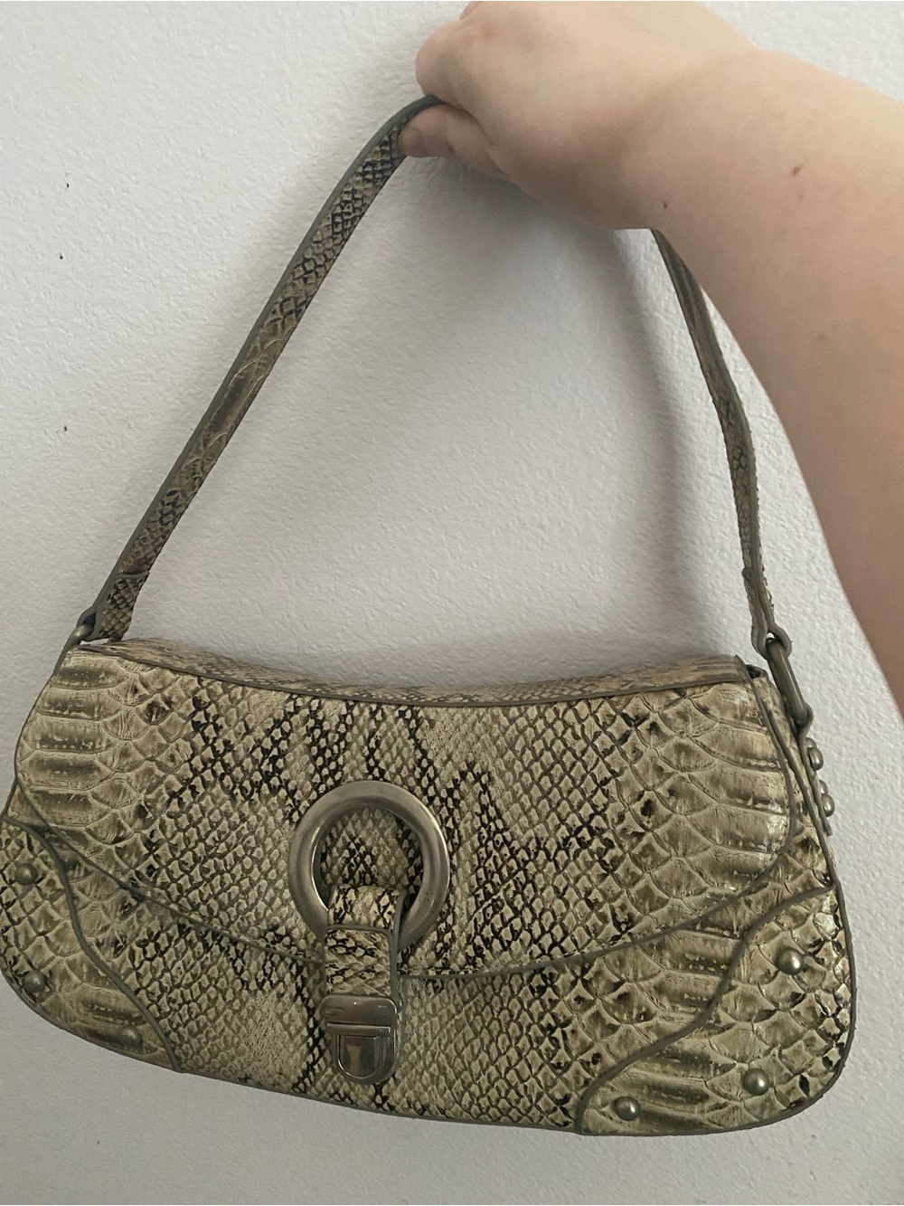 Snake-Print Shoulder Bag in Taupe